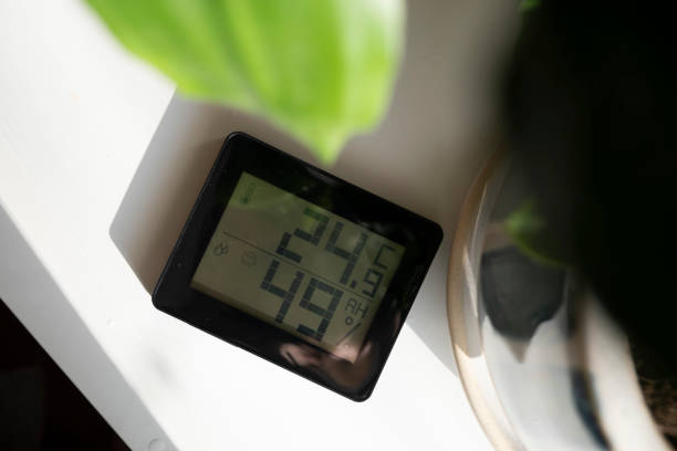 Healthy home. Thermometer and hygrometer. Air humidity measurement. Optimum humidity at home. Thermometer in the interior, among houseplants Healthy home. Thermometer and hygrometer. Air humidity measurement. Optimum humidity at home. Thermometer in the interior, among houseplants. hygrometer photos stock pictures, royalty-free photos & images