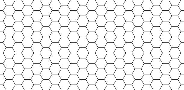 Hexagon seamless pattern. Honeycomb background. Texture with hexagon of honey comb. Black grid of bee. Abstract geometric background. Hex tile of mosaic. Line ornament for hive. Vector Hexagon seamless pattern. Honeycomb background. Texture with hexagon of honey comb. Black grid of bee. Abstract geometric background. Hex tile of mosaic. Line ornament for hive. Vector. honeycomb animal creation stock illustrations