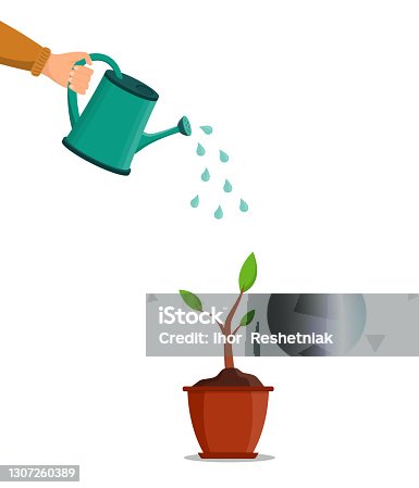 istock Water can in hand. Water for pour of tree and plant. Growth are seed in garden in spring. Pot with plant or flower. Hand holding can watering for grow of sprout. Flora, tool and sprinkle. Vector 1307260389