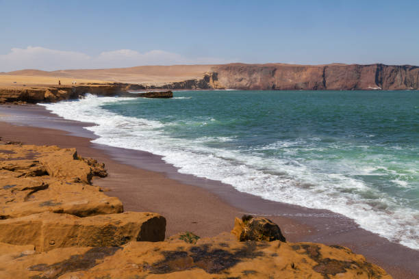 istock Dunes and cliffs, Playa Roja, Paracas National Reserve, Peru. 1307260413