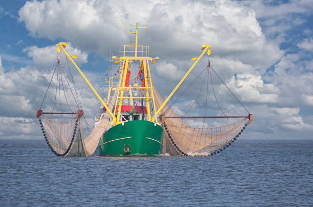 Shrimp Boat,North Sea,North Frisia,Germany Shrimp Boat at North Sea,North Frisia,Germany fishing boat stock pictures, royalty-free photos & images