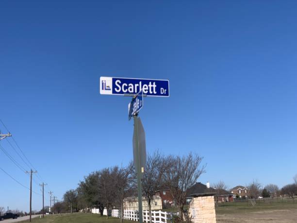 istock Scarlett Drive at Estelle Lane 1307263907