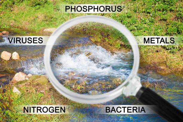 controllo della purezza, della qualità e dell'inquinamento dell'acqua in natura - immagine concettuale con acqua di un ruscello visto attraverso una lente d'ingrandimento - bacterium virus magnifying glass green foto e immagini stock