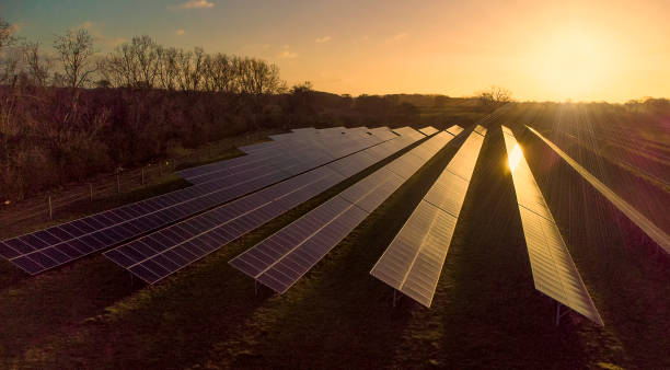 die frühmorgendliche sonne reflektiert die paneele eines solarpark in suffolk, uk - solar panel solar power station sun solar energy stock-fotos und bilder