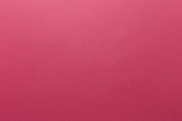 istock Abstract magenta background. Bright halftone pattern. Light paper texture for luxury elegant backdrop design wallpaper or template 1307267504