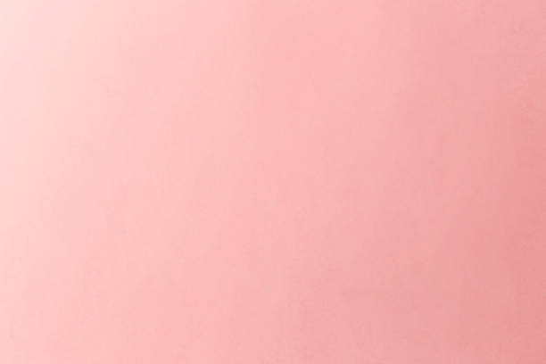 istock Abstract pastel pink background. Bright halftone pattern. Light paper texture for luxury elegant backdrop design wallpaper or template 1307267964