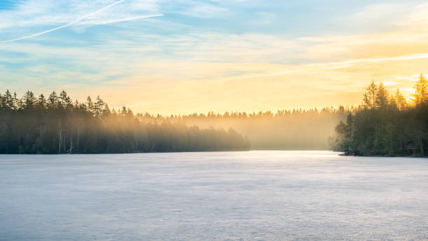 Winter landscape of a frozen lake with a forest on the shore just before sunrise stock photo
