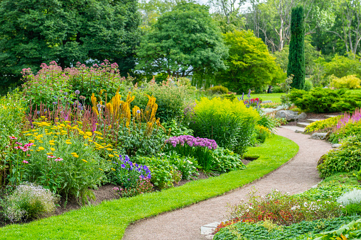 A front garden in summer filled with plants of varying colour and texture and no grass.