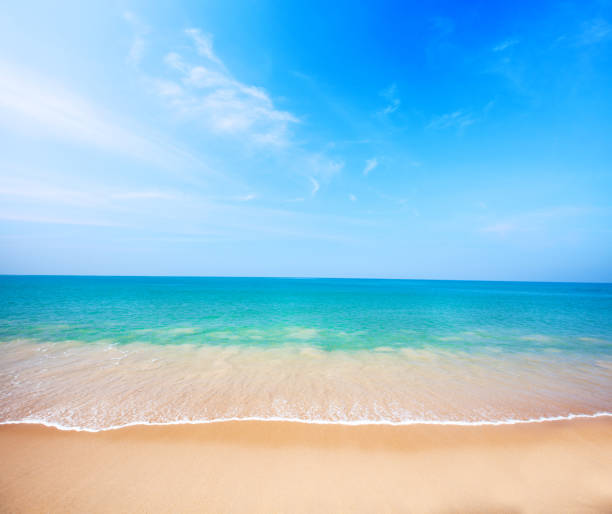 istock Sandy beach and beautiful tropical sea 1307274337