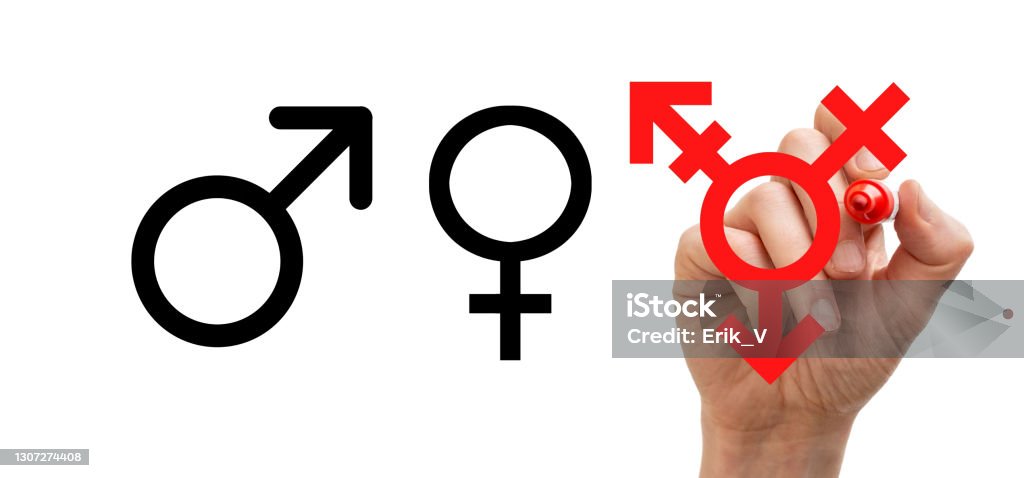 Gender symbols written on whiteboard. Concept for gender neutrality. LGBTQIA People Stock Photo