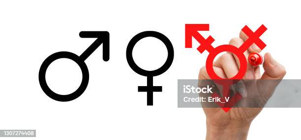 Gender Symbols Written On Whiteboard Concept For Gender Neutrality Stock Photo - Download Image Now
