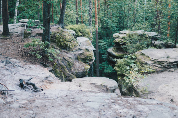 istock rock formation made from sandstones inside of a forest 1307278823