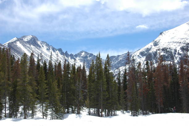 istock Rocky Mountain National Park 1307281036