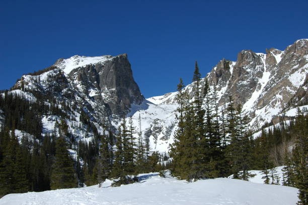 istock Rocky Mountain National Park 1307281037