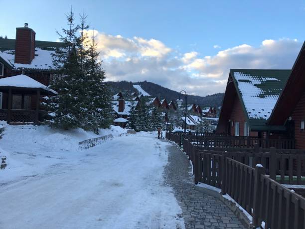 istock Bukovel houses in the winter 1307282034