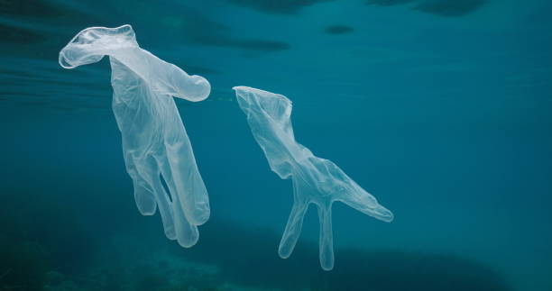 istock Gloves underwater sea plastic waste COVID-19 1307283434