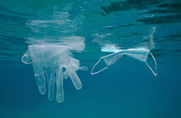 istock Face mask and gloves under water sea pollution 1307283470