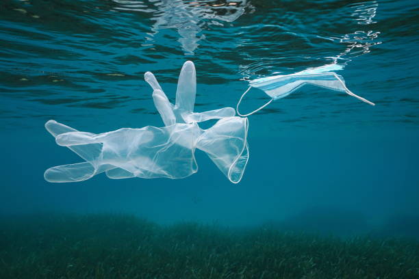 istock Gloves and face mask underwater sea plastic waste 1307283545