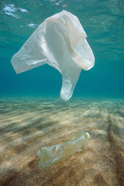istock Plastic pollution in sea underwater bag and bottle 1307283620