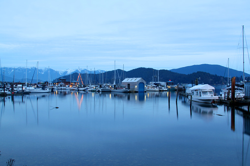 The Harbor at Gibson's Landing, filled with boats of all description.