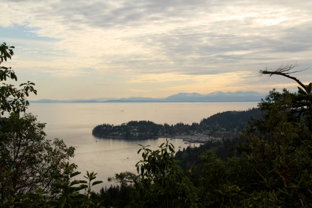 istock Coast of Sunshine 1307287259