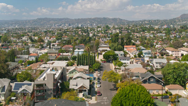 istock Echo Park Housing and Trees - Aerial 1307288086