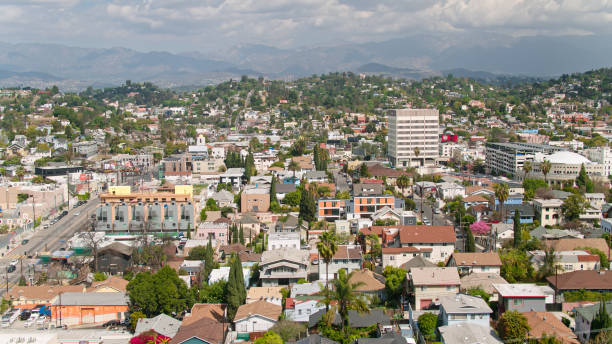 istock Echo Park Area - Aerial 1307288120