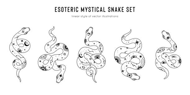 Vector snake set of mystical magic objects- moon, eyes, constellations, sun and stars. Spiritual occultism symbols, esoteric objects Vector snake set of mystical magic objects- moon, eyes, constellations, sun and stars. Spiritual occultism symbols, esoteric objects. simple snake tattoo drawings stock illustrations