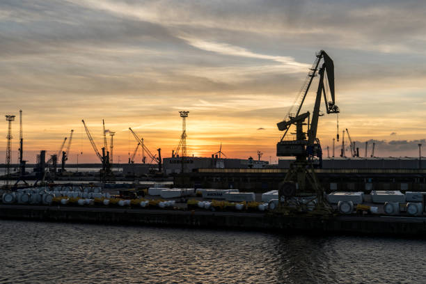 istock Sunrise at the harbor 1307292540