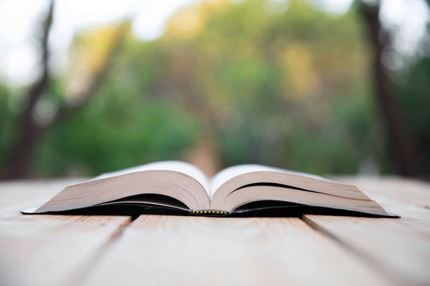istock Open Holy Bible in nature 1307292747