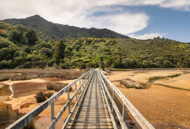 ニュージーランド、アベルタスマン国立公園のアベルタスマンコーストトラックの初めに木製の歩道橋 - abel tasman national park ストックフォトと画像