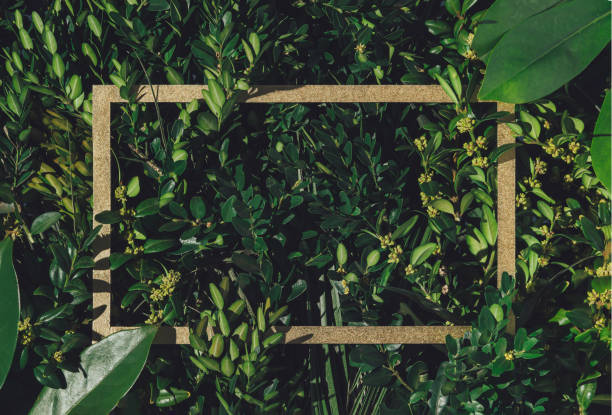 Creative nature background with green leaves. Minimal spring or summer abstract forest pattern with gold frame