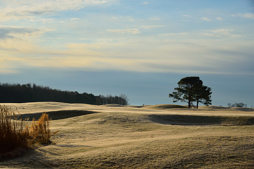 Frost covered dunes along a rural road at dawn on a frigid December morning on the eastern shore region of Maryland