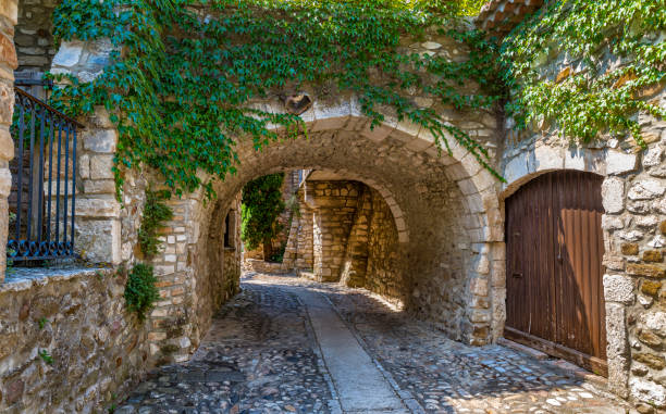 istock Medieval Village alley 2 1307297989