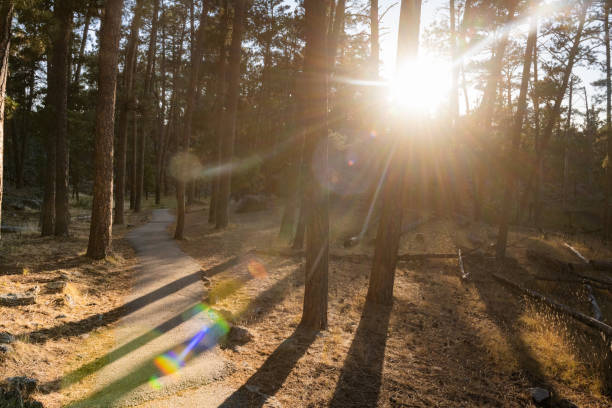 The afternoon sun shines brightly through the trees along the base of the Devil’s Monument. Long shadows are cast across the walking trail.