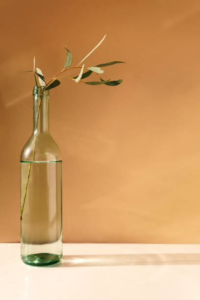 istock Eucalyptus branch in a bottle. 1307304852