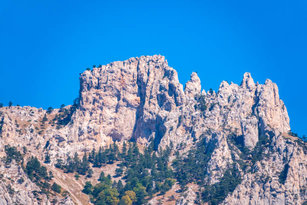 istock High mountains with forested slopes and peaks on blue sky background 1307323666