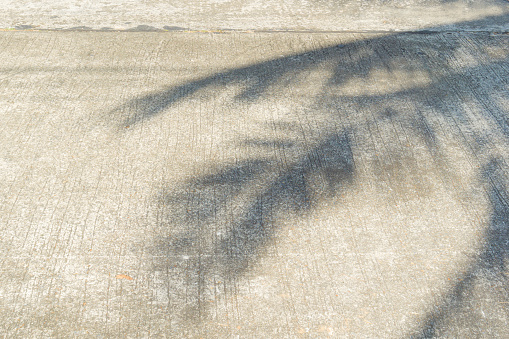 Light and shadow leaves, shadow of a palm tree on the wall.