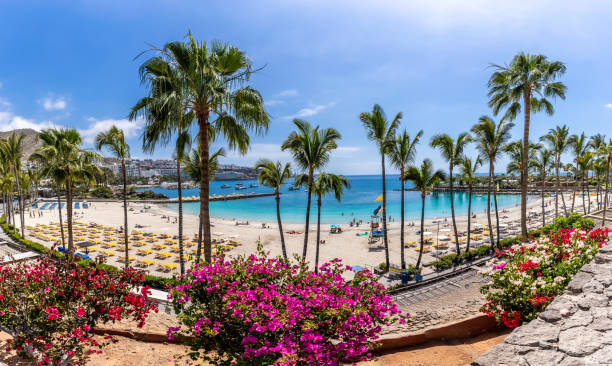 istock Landscape with Anfi beach 1307331305