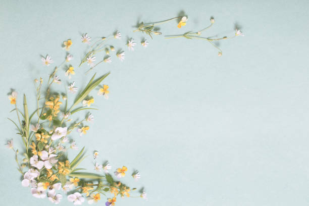 istock wild flowers on paper background 1307331981
