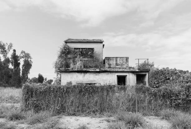 istock Abandoned residential house 1307336435