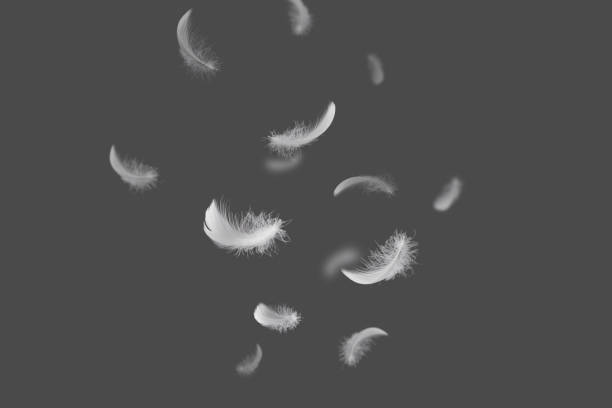 istock Abstract. Soft and Light Fluffy white Feathers Falling  Down in The Air. Dark Gray Background. 1307338080