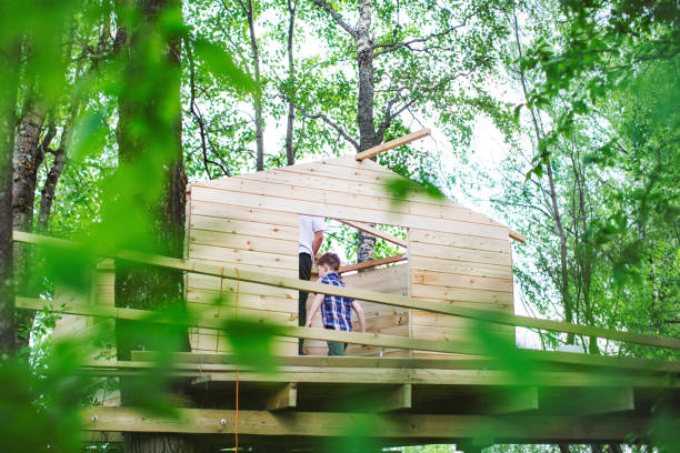 Father and son building tree house at backyard