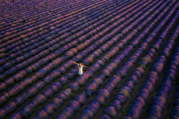 istock Woman among blooming lavender 1307338531