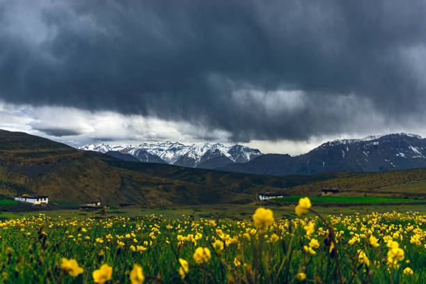 vallée des fleurs. - himalayas cloud mountain peak cloudscape photos et images de collection