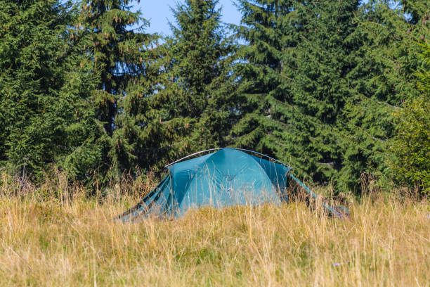 istock closeup green touristic tent in a forest 1307344704