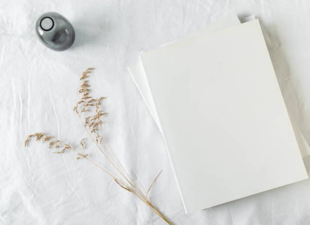 istock Empty blank white magazine cover mock up, vase and dried grass 1307346897