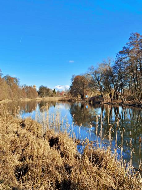 istock Idyll on the Finow Canal 1307347341