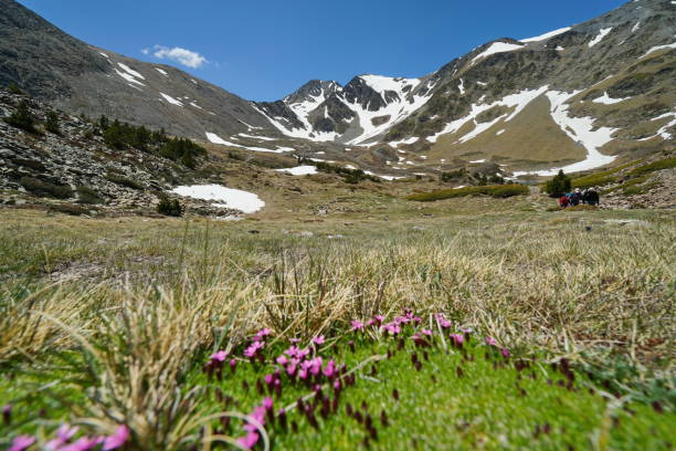 istock Mountain landscape Carlit massive France Pyrenees 1307350098