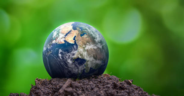 Earth planet sphere in ground and on green leaves background. Ecology and environment care concept. Greenpeace and Earth day theme. Elements of this image furnished by NASA Earth planet sphere in ground and on green leaves background. Ecology and environment care concept. Greenpeace and Earth day theme. Elements of this image furnished by NASA (url:https://earthobservatory.nasa.gov/blogs/elegantfigures/wp-content/uploads/sites/4/2011/10/land_shallow_topo_2011_8192.jpg) greenpeace stock pictures, royalty-free photos & images